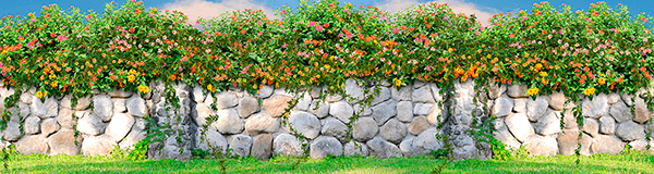 Fotomurali : Muro di fiori