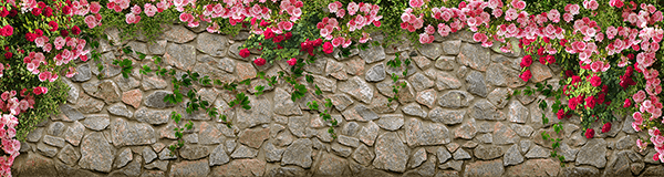 Fotomurali : Muro di rose