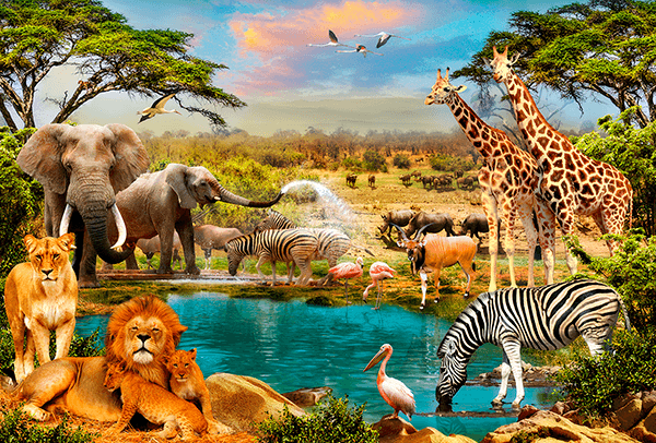 Fotomurali : Animali della Sindone