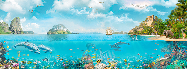Fotomurali : Fauna marina