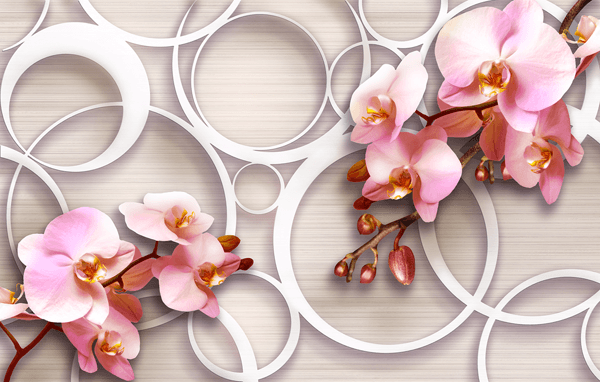 Fotomurali : Rose Orchidee