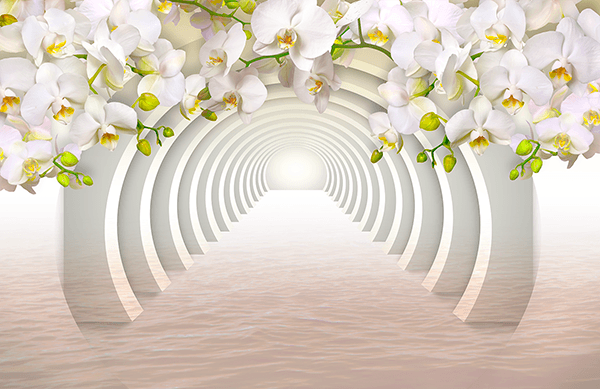 Fotomurali : Orchidee Bianche
