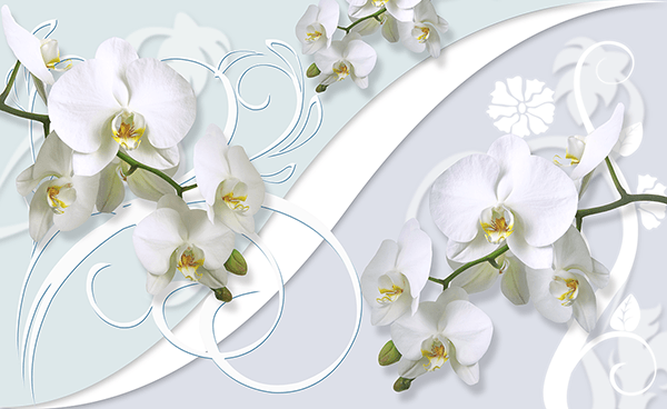 Fotomurali : Rituale delle orchidee