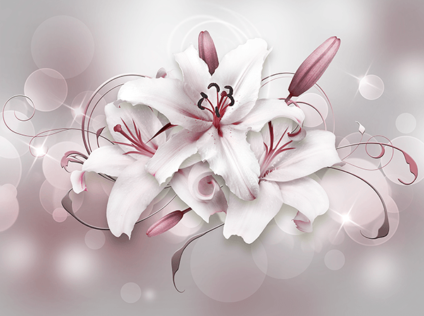 Fotomurali : Bouquet di gigli grigi