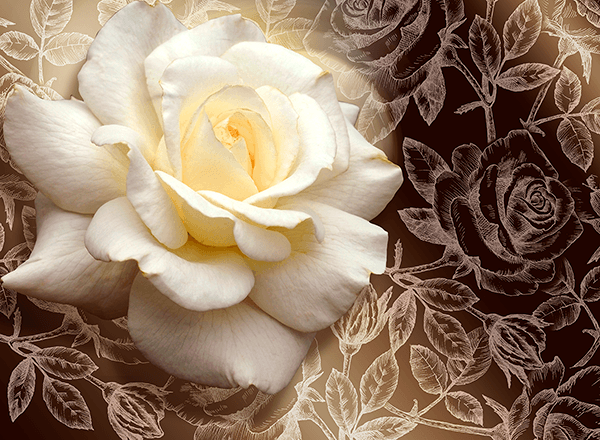 Fotomurali : Rosa Pascali