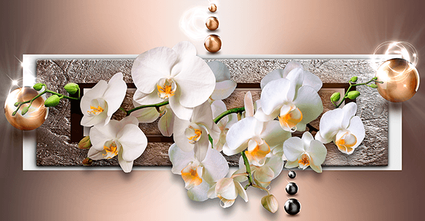 Fotomurali : Orchidee dietro la cassetta delle lettere