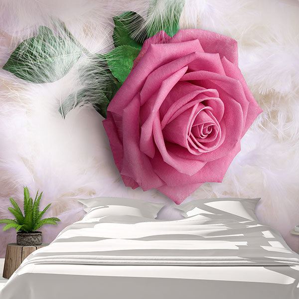 Fotomurali : Rosa tra le piume