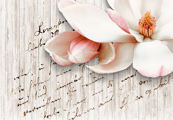 Fotomurali : Poesie e fiori