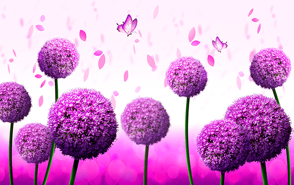 Fotomurali : Fiore aglio