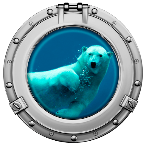 Adesivi Murali: Il nuoto dell'orso polare