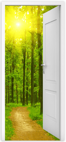 Adesivi Murali: Porta aperta sulla foresta