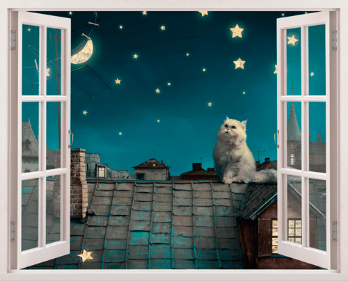 Adesivi Murali: Un gatto sul tetto