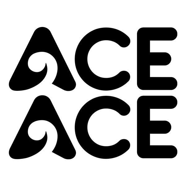 Adesivi per camper: Adesivi per Camper Ace - Set di Due Pezzi