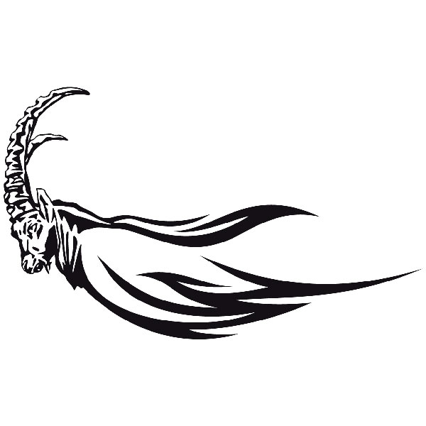 Adesivi per Auto e Moto: Animal Flames 25