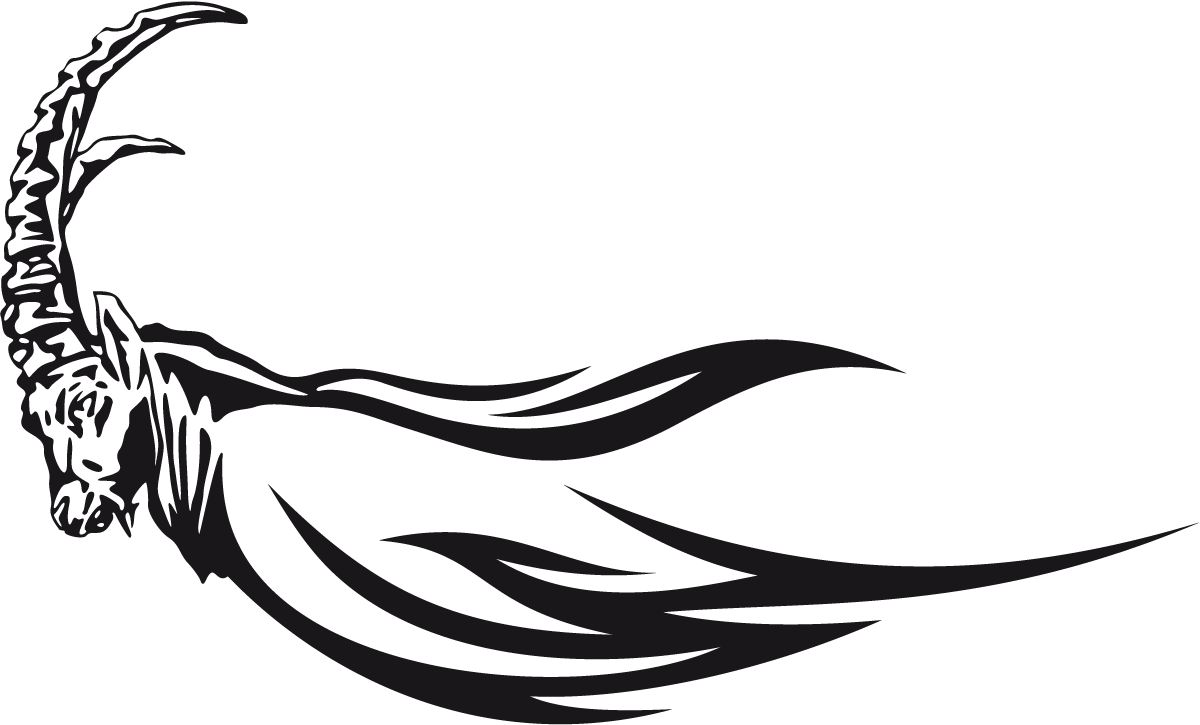 Adesivi per Auto e Moto: Animal Flames 25