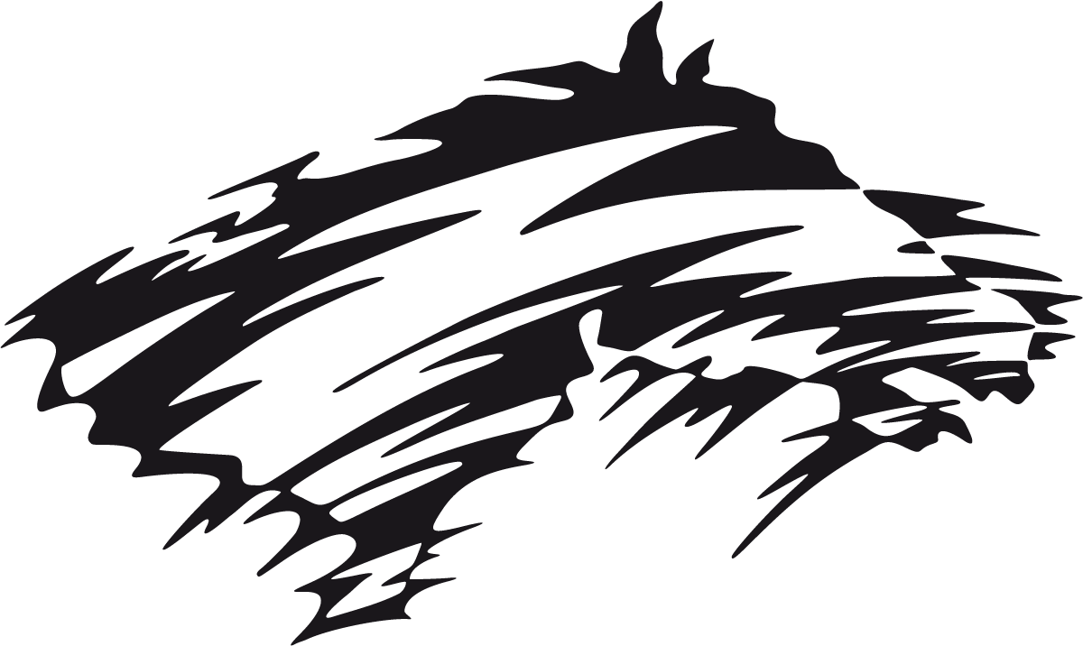 Adesivi per Auto e Moto: Animal Flames 57