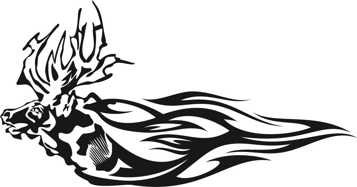 Adesivi per Auto e Moto: Animal Flames 80