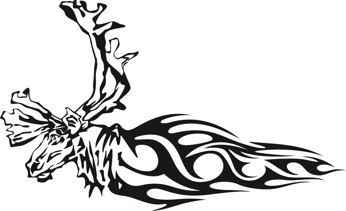 Adesivi per Auto e Moto: Animal Flames 82