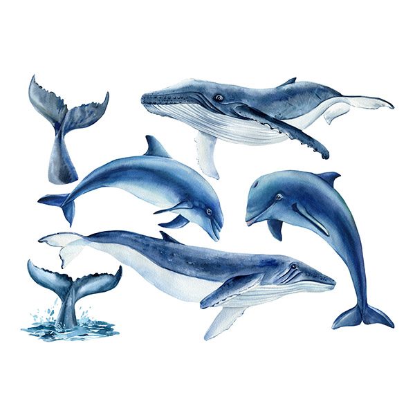 Adesivi per Bambini: Balene e Delfini