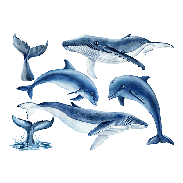 Adesivi per Bambini: Balene e Delfini 0