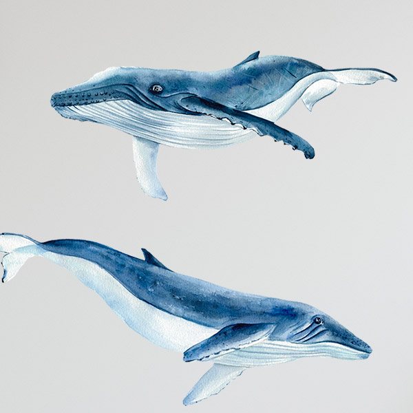 Adesivi per Bambini: Balene e Delfini