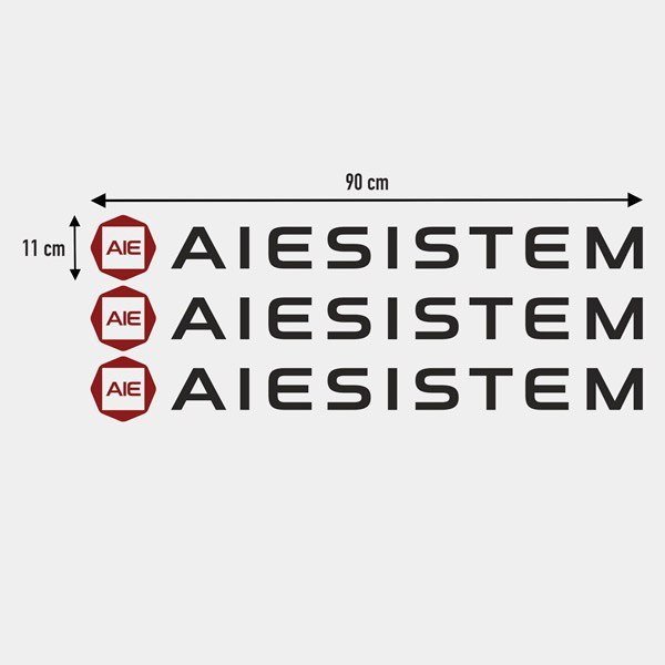 Kit adesivi Aiesistem 1/3