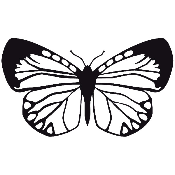 Adesivi Murali: Farfalla Eroessa Chiliensis