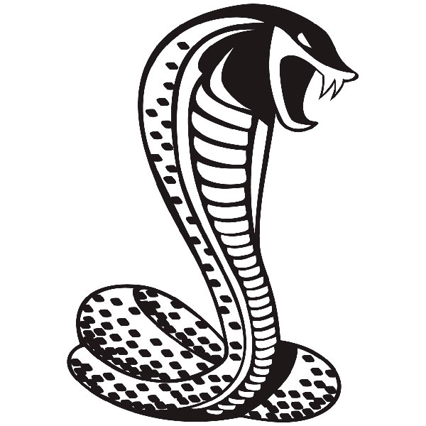 Adesivi Murali: Cobra