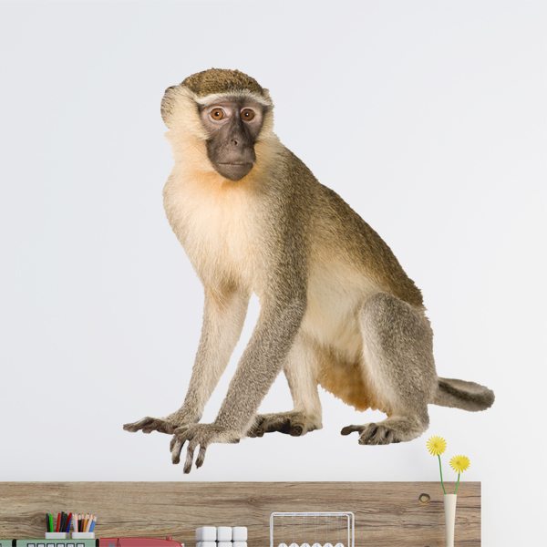 Adesivi Murali: Macaco