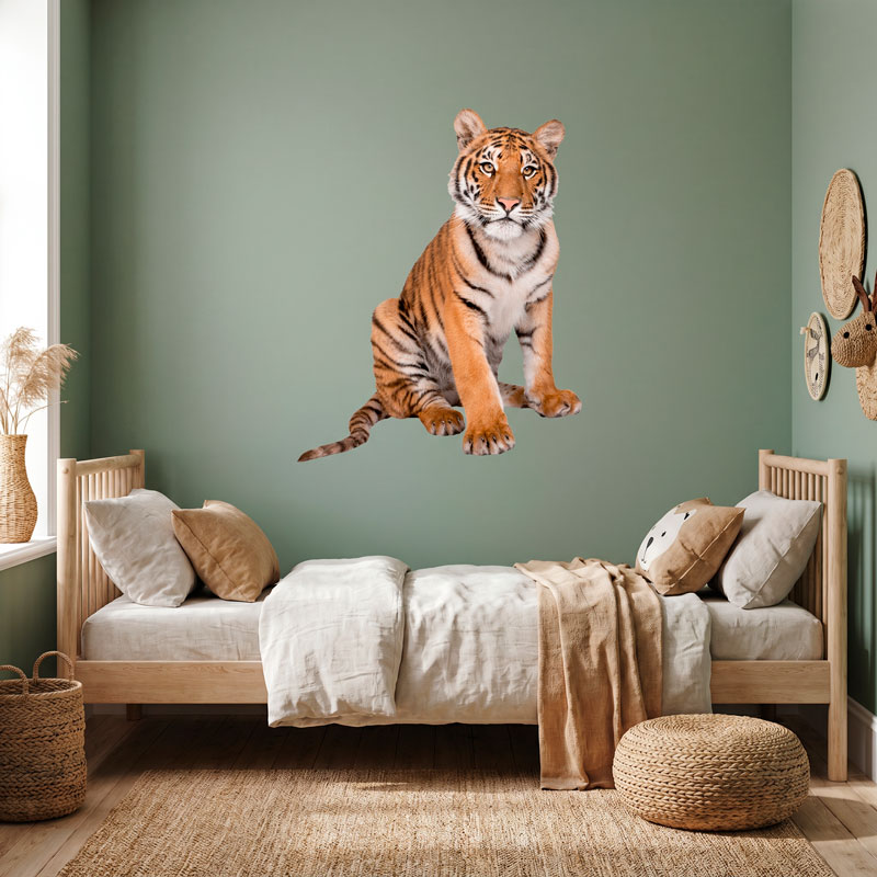 Giovane tigre siberiana 6/10