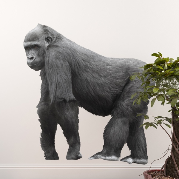 Adesivi Murali: Gorilla che cammina