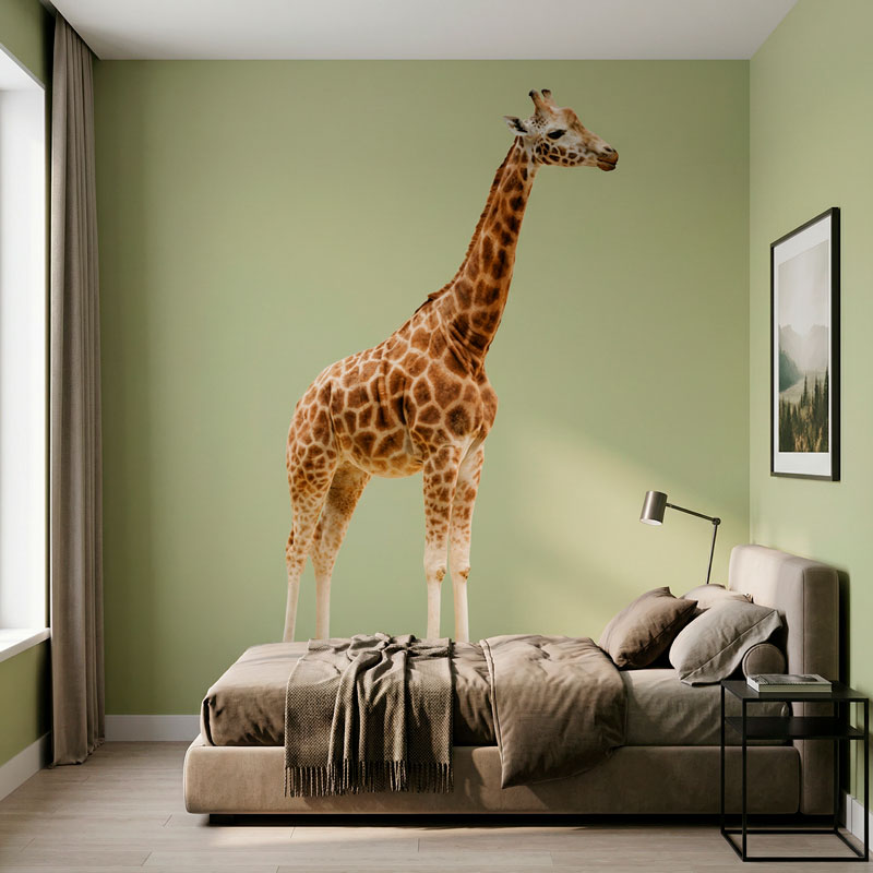 Giraffa a corpo intero 5