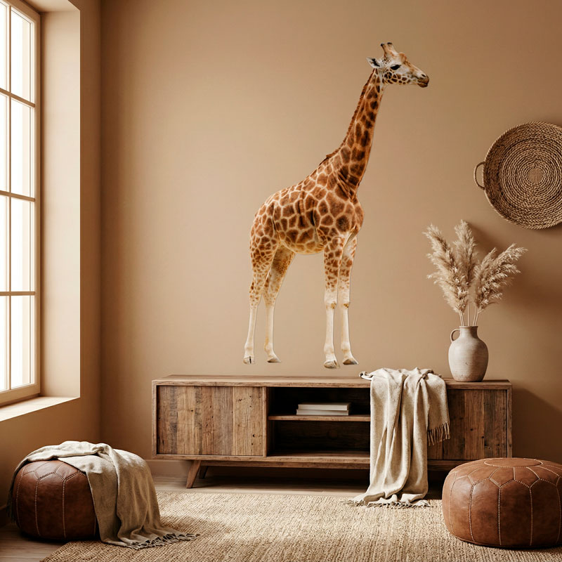 Giraffa a corpo intero 7