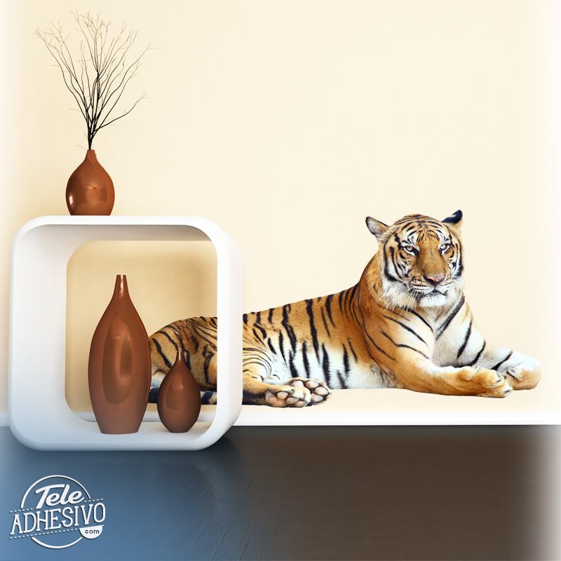 Adesivi Murali: Tigre rilassata