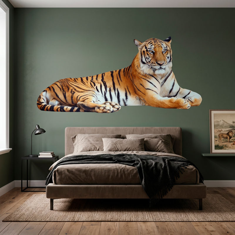Tigre rilassata 6/6