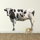 Adesivi Murali: Mucca Holstein 3