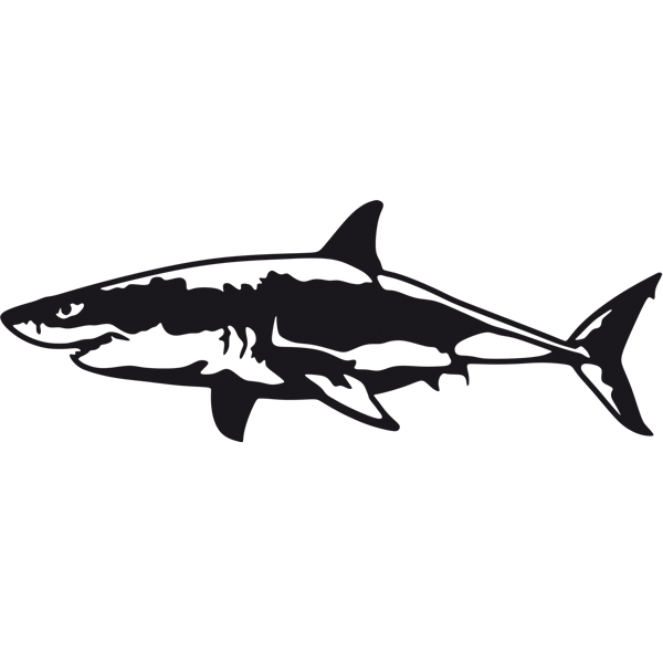 Adesivi per Auto e Moto: Nuoto degli squali