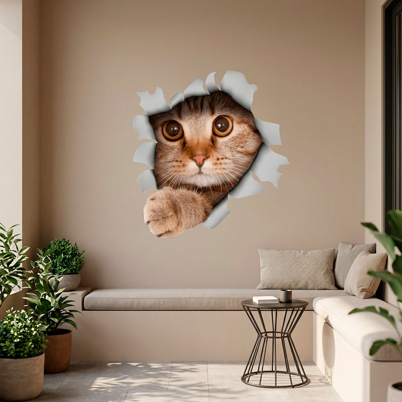 Gatto che spunta dal muro 3D 5/7