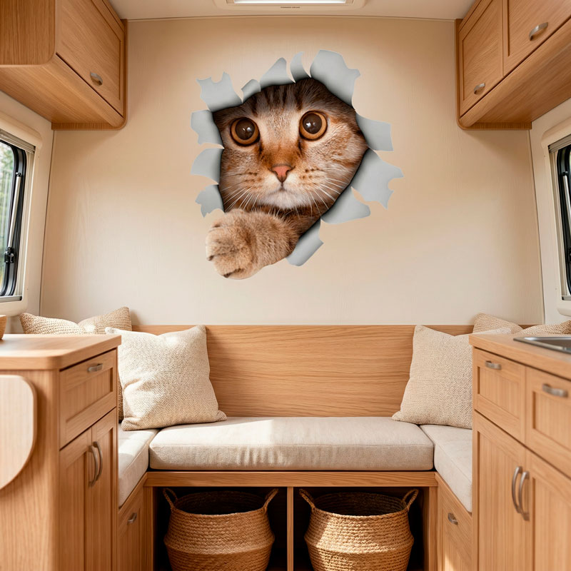 Gatto che spunta dal muro 3D 6/7