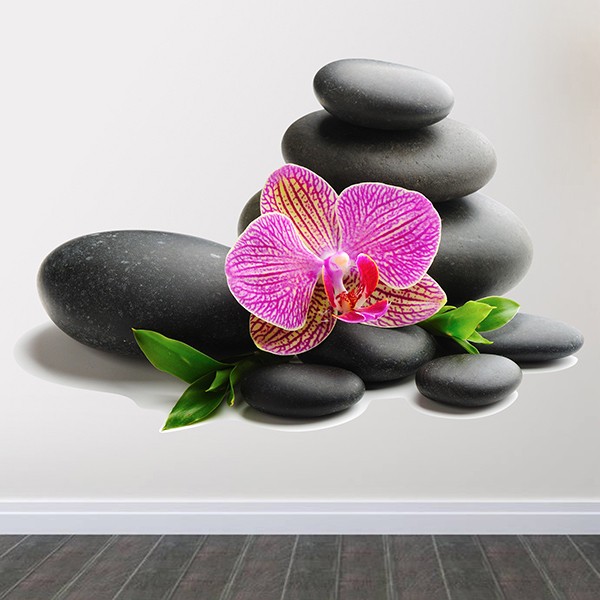 Adesivi Murali: Orchidea e rocce impilate
