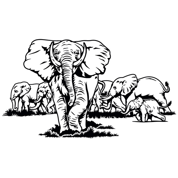 Adesivi Murali: Set di elefanti