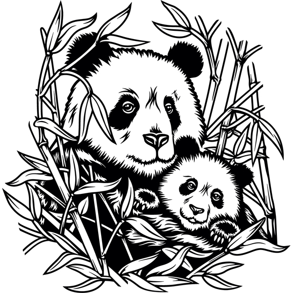 Adesivi Murali: Panda Bears in famiglia