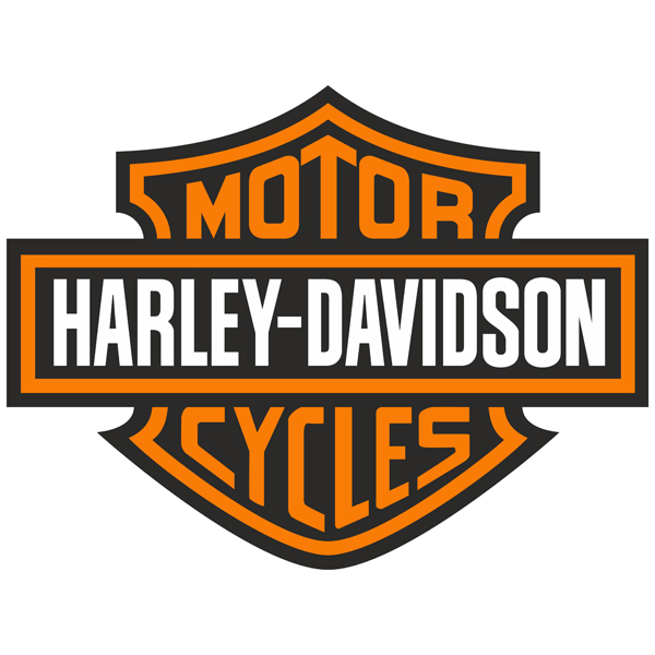 Adesivi Murali: Harley Davidson Bigger