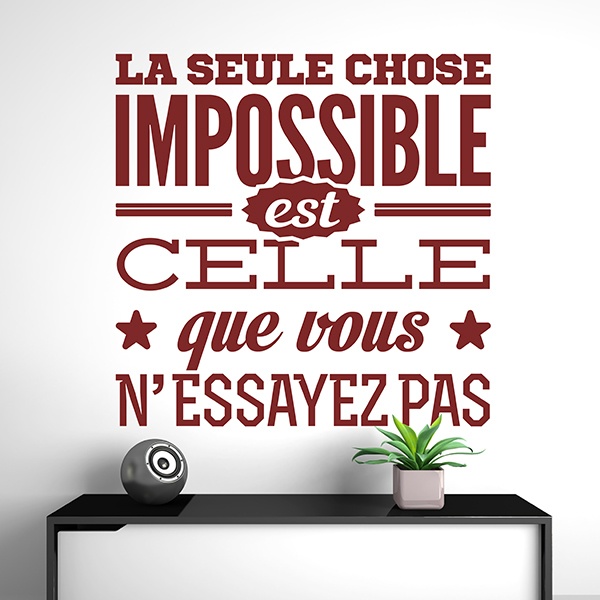 Adesivi Murali: La seule chose impossible...