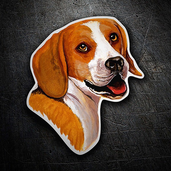 Adesivi per Auto e Moto: Beagle