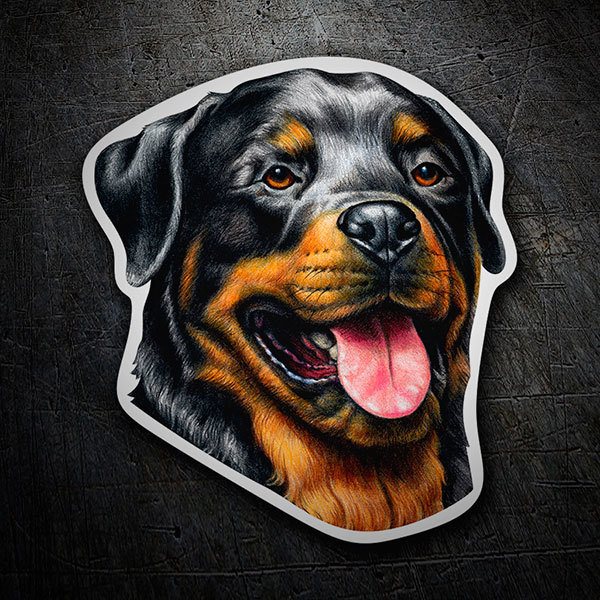 Adesivi per Auto e Moto: Rottweiler