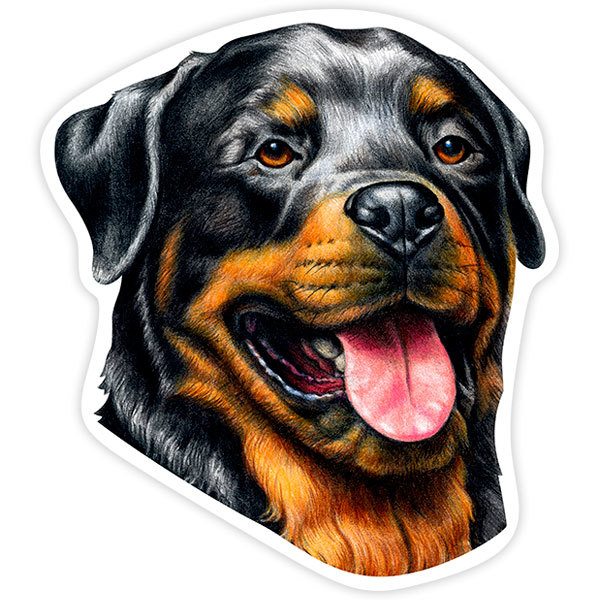 Adesivi per Auto e Moto: Rottweiler