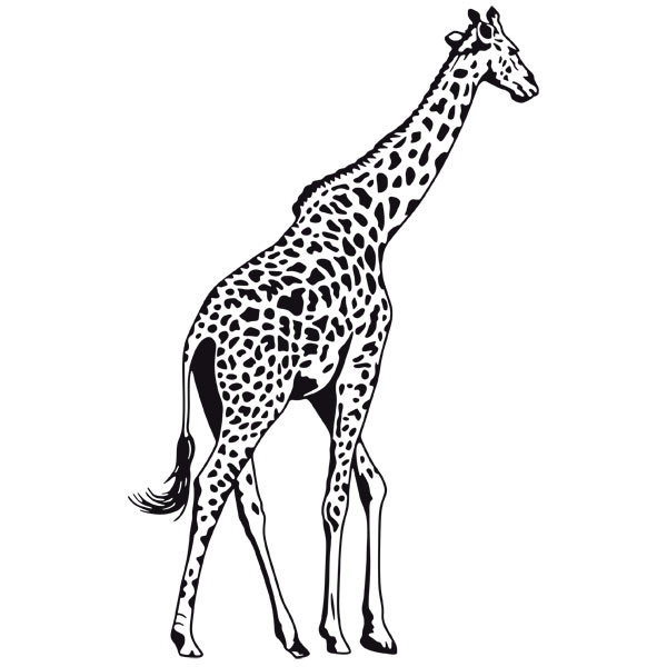 Adesivi Murali: Giraffa a figura intera