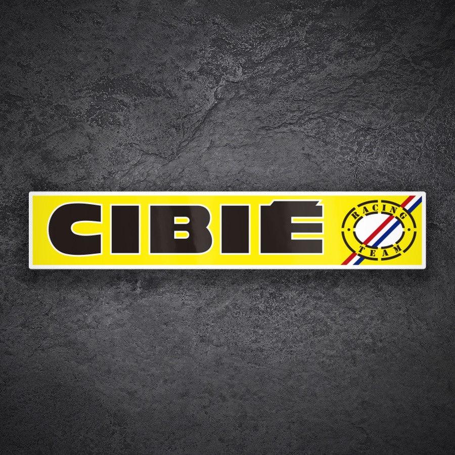 Adesivi per Auto e Moto: Logo Cibi&eacute; Racing Team