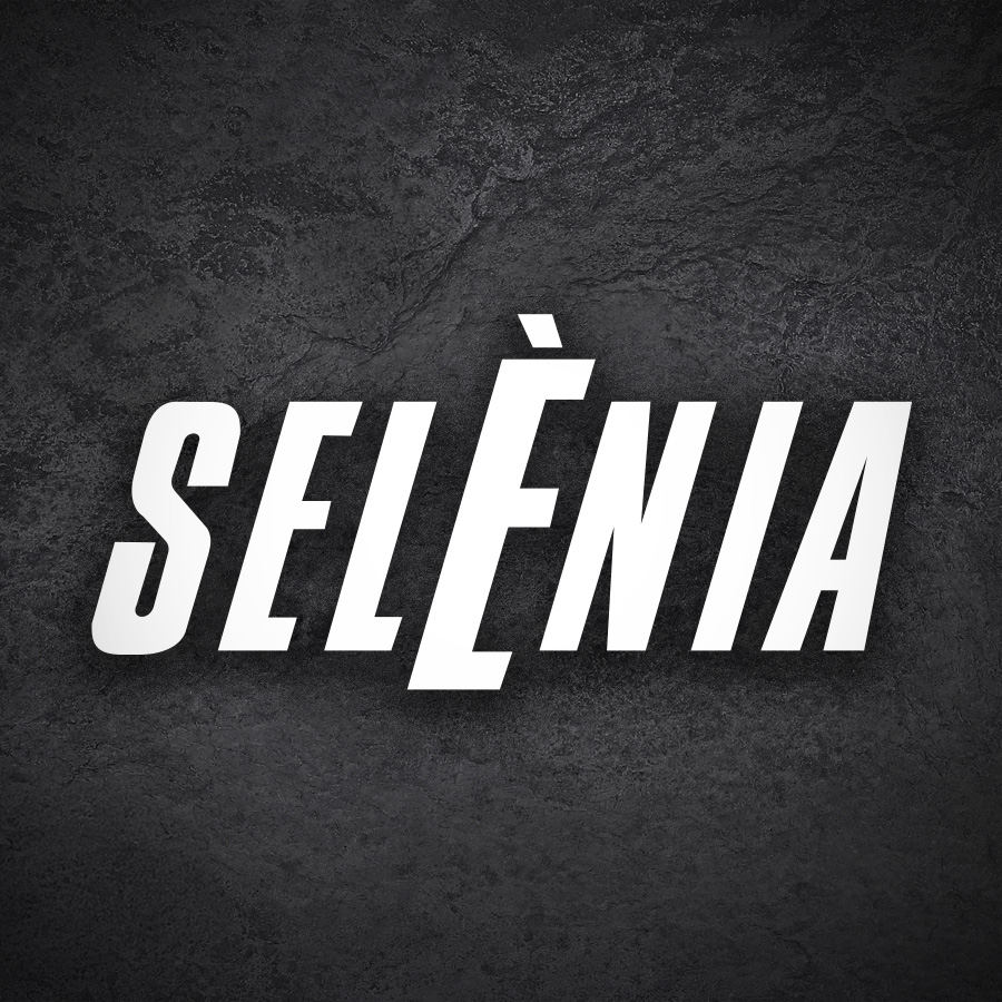 Adesivi per Auto e Moto: Sel&egrave;nia Motor Oil